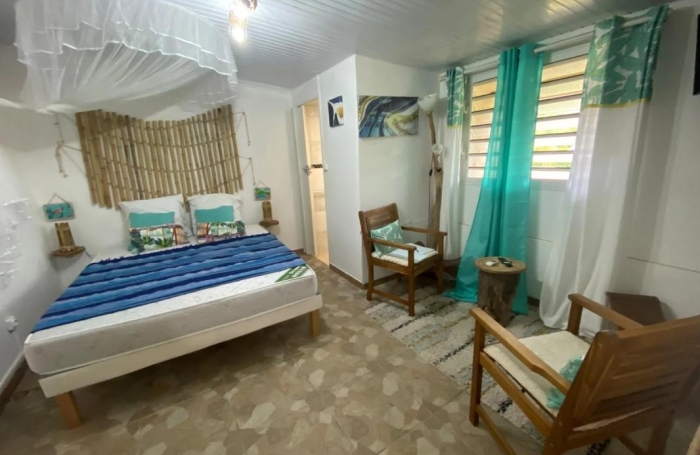 Vente Immeuble 184m&sup2; 9 pièces Le Morne Rouge