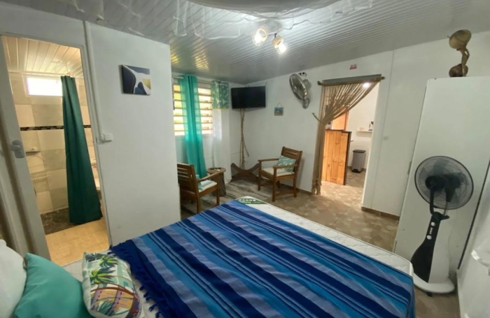 Vente Immeuble 184m&sup2; 9 pièces Le Morne Rouge