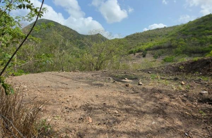 Vente Terrain 97217