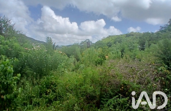 Vente Terrain 97211