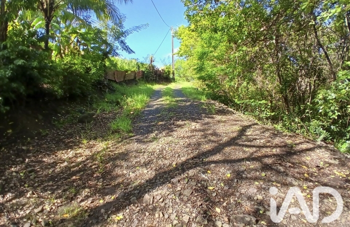 Vente Terrain 800m&sup2; Rivi&egrave;re Pilote