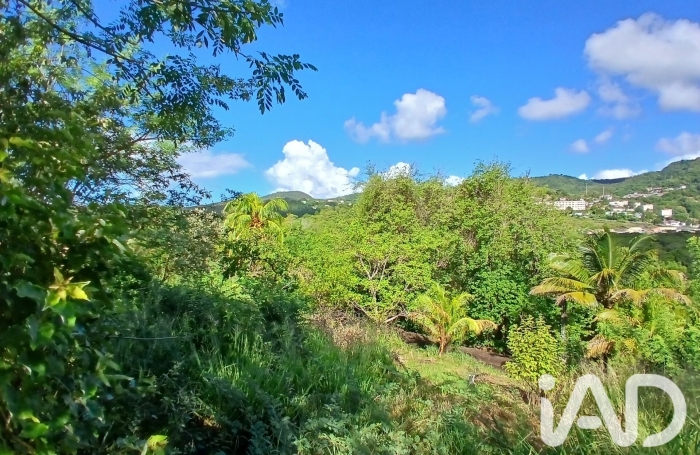 Vente Terrain 800m&sup2; Rivi&egrave;re Pilote