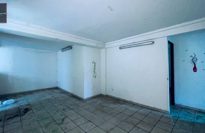 Vente Immeuble de Rapport &agrave; Rivi&egrave;re-Pilote, Martinique - Opportunit&eacute; d'Investissement Immobilier