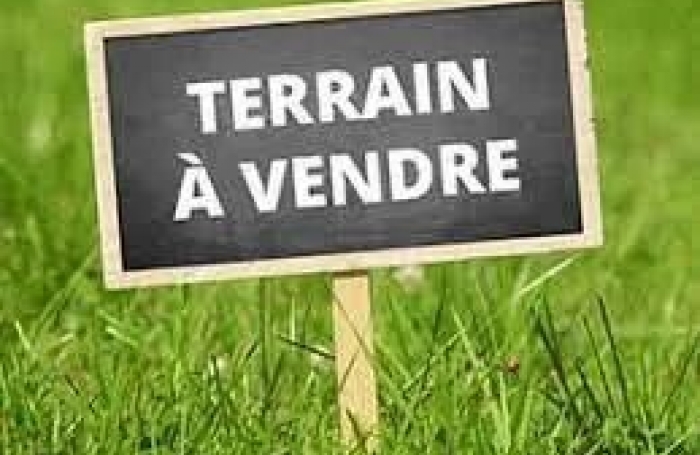 Vente Terrain 97490