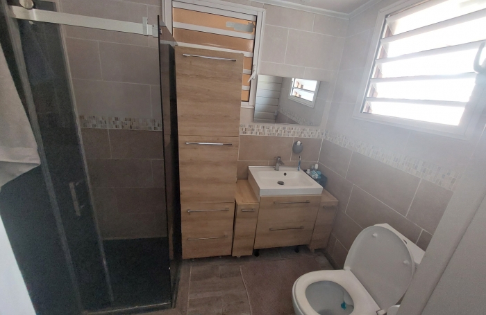 Villa F5/6 Piscine+ F3 SAINT-ANDRE