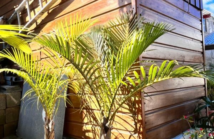 Vente Maison 95m&sup2; 3 pi&#232;ces Saint-Leu