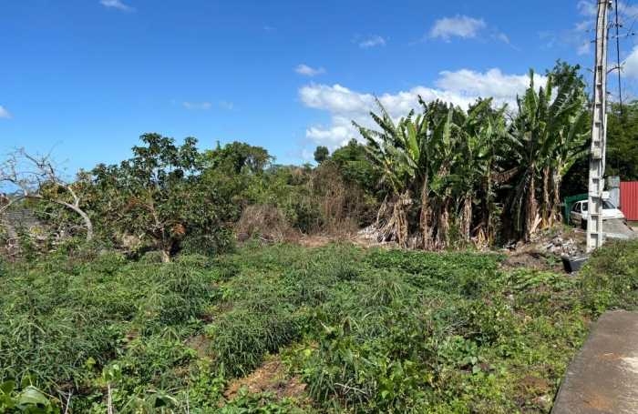 Vente Terrain 97430