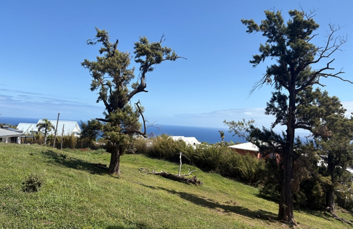 Vente Terrain 555m² La Montagne