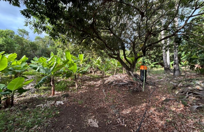 Vente Terrain 544m&sup2; Ravine des Cabris