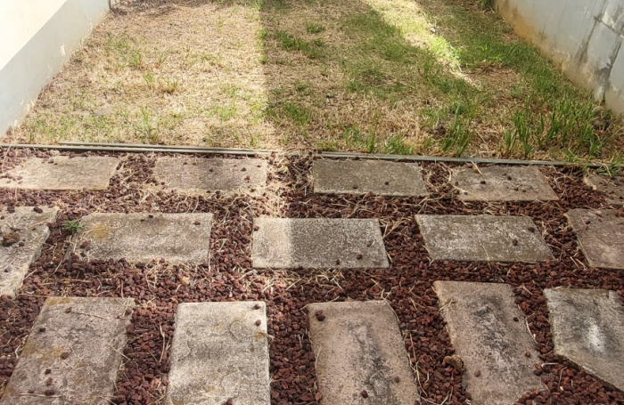 APPARTEMENT T3 RDC SAINTE CLOTILDE