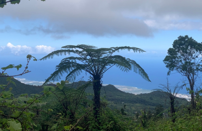 Vente Maison 320m&sup2; 10 pi&#232;ces Saint Louis