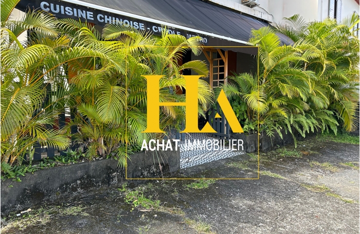 Vente Immeuble 124m² 5 pièces Saint-Benoît