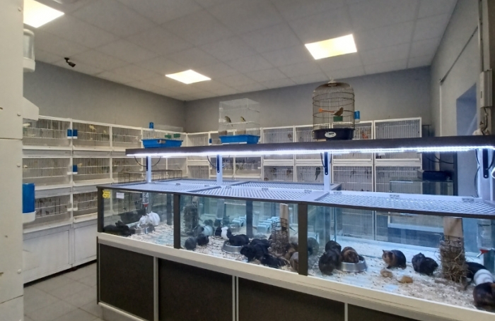 Local commercial à Sainte-Clotilde