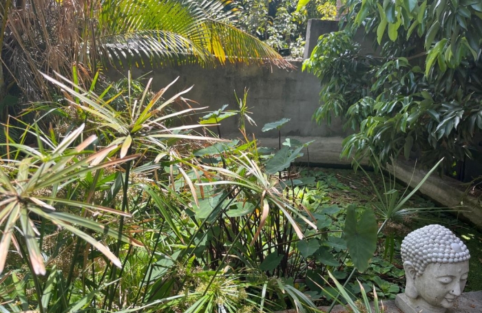 Vente Maison 106m&sup2; 5 pi&#232;ces Piton Saint Leu