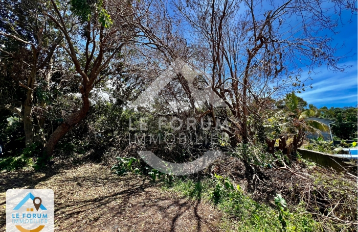 Vente Terrain 97480