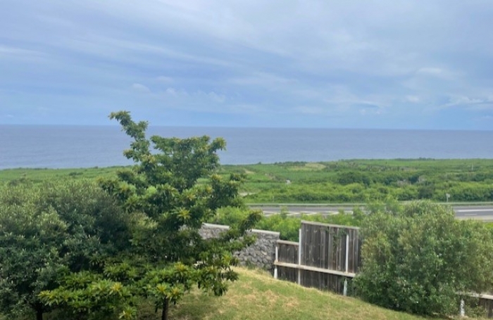 BEAU T3 AVEC VUE MER PITON ST LEU / PORTAIL