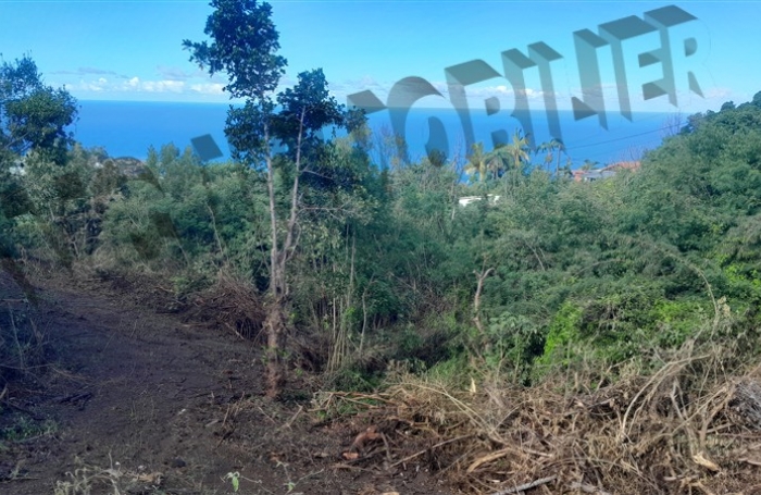 Vente Terrain 5500m² Les Avirons