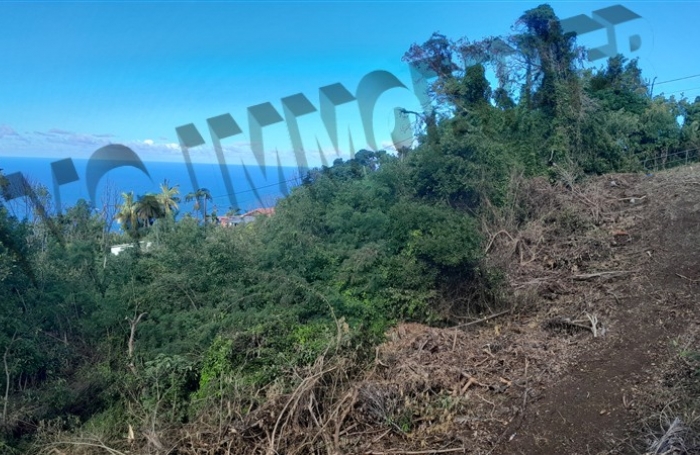 Vente Terrain 5500m² Les Avirons