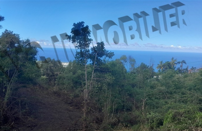 Vente Terrain 5500m² Les Avirons