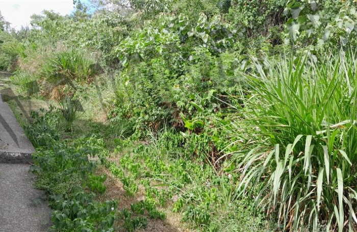 Vente Terrain 5500m² Les Avirons