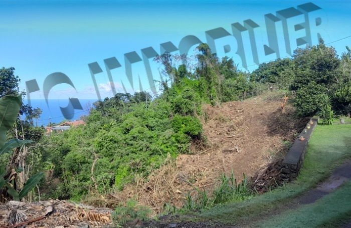 Vente Terrain 5500m² Les Avirons