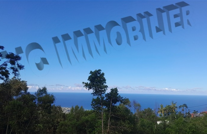 Vente Terrain 5500m² Les Avirons