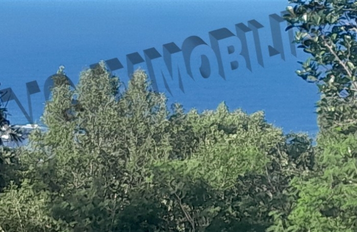 Vente Terrain 5500m² Les Avirons