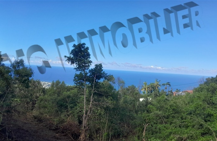 Vente Terrain 5500m² Les Avirons