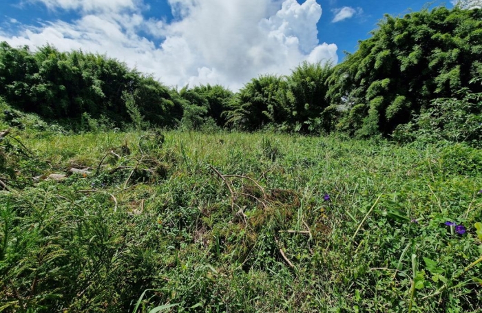 Vente Maison 91m&sup2; 3 pi&#232;ces Plaine des Palmistes