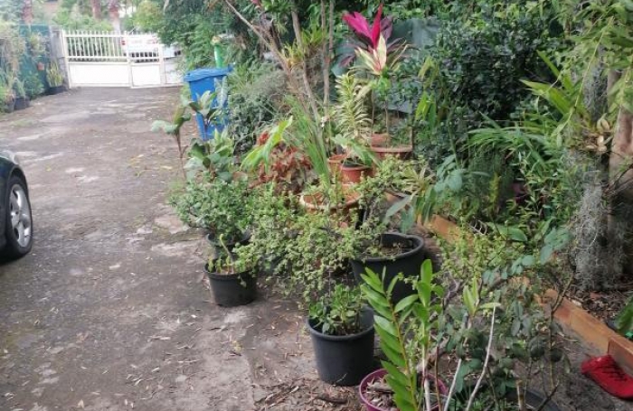 Vente Maison 5 pi&#232;ces Saint Paul