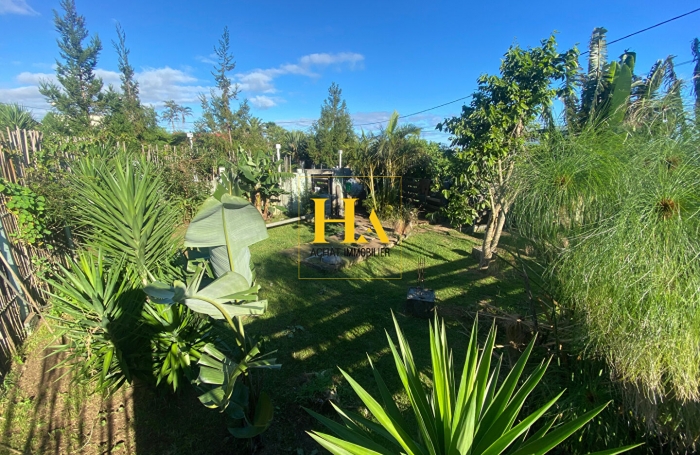 Vente Terrain 300m² Les Avirons