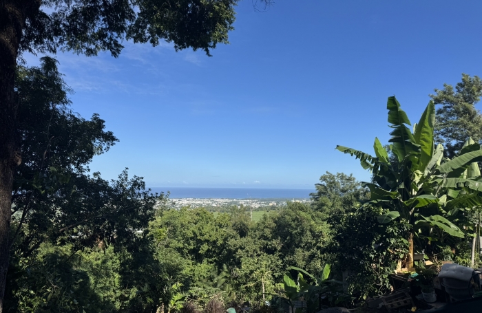 Vente Terrain 542m² Rivière Saint Louis