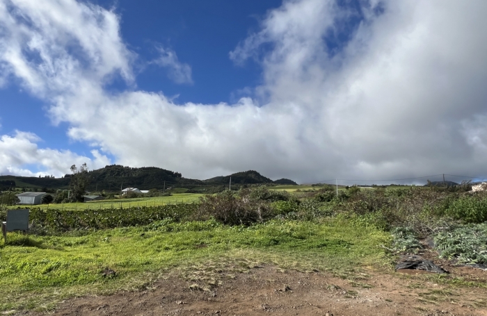 TAMPON 97430 - COQUETTE MAISON F3 - JARDIN ENTRETENU - CADRE BUCOLIQUE