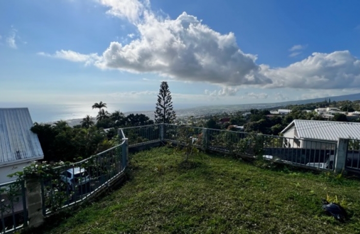 Maison type T5, Les camélias