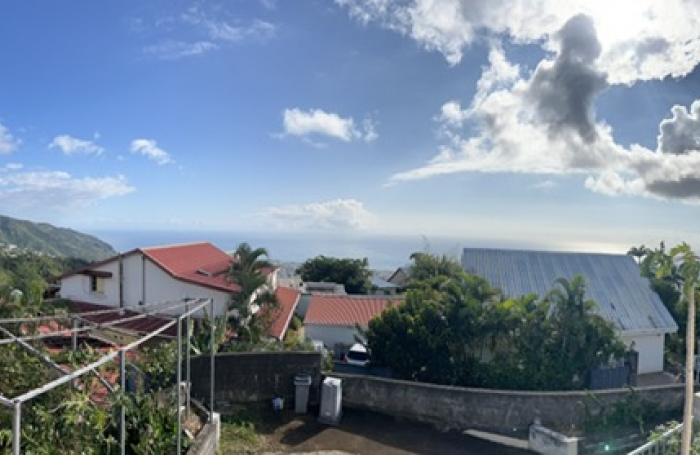 Maison type T5, Les camélias