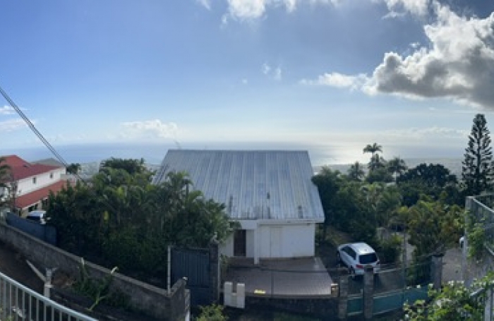 Maison type T5, Les camélias