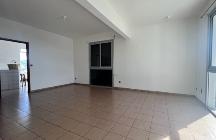 Maison type T5, Les camélias