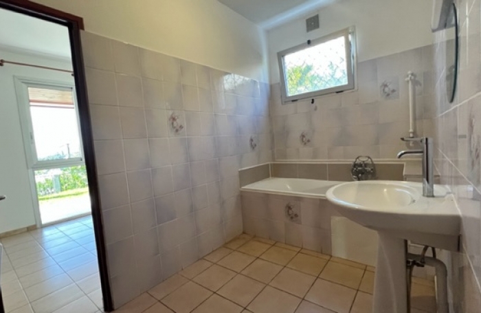 Maison type T5, Les camélias