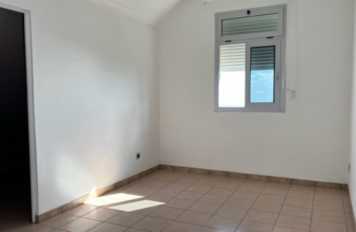 Maison type T5, Les camélias