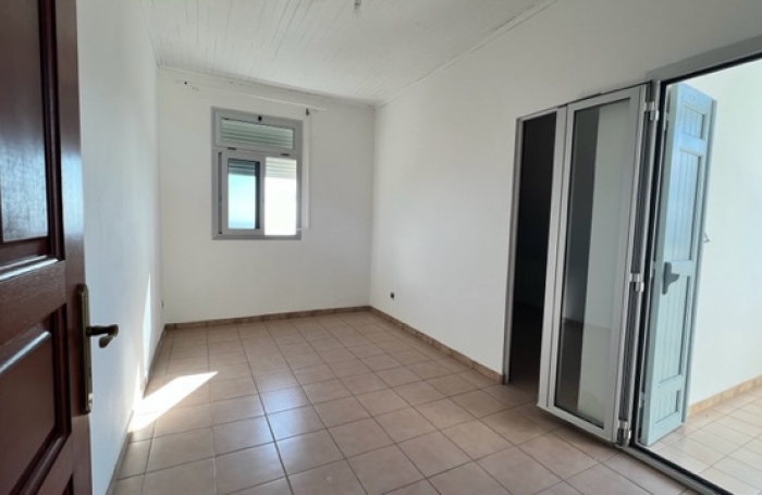 Maison type T5, Les camélias