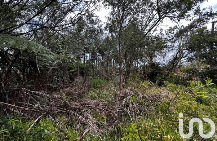 Vente Terrain 591m&sup2; Saint Joseph