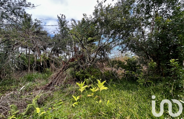 Vente Terrain 591m&sup2; Saint Joseph