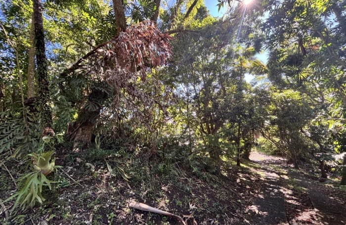 Vente Maison 360m&sup2; 8 pièces Saint Denis