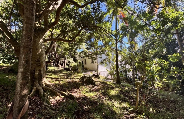 Vente Maison 360m&sup2; 8 pièces Saint Denis