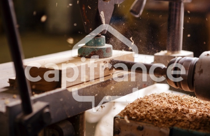 Vente Divers 740m&sup2; 10 pi&#232;ces Rivière Saint Louis