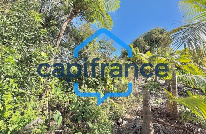 Vente Terrain 97480