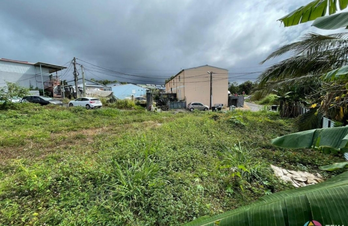 Vente Terrain Saint-Benoît