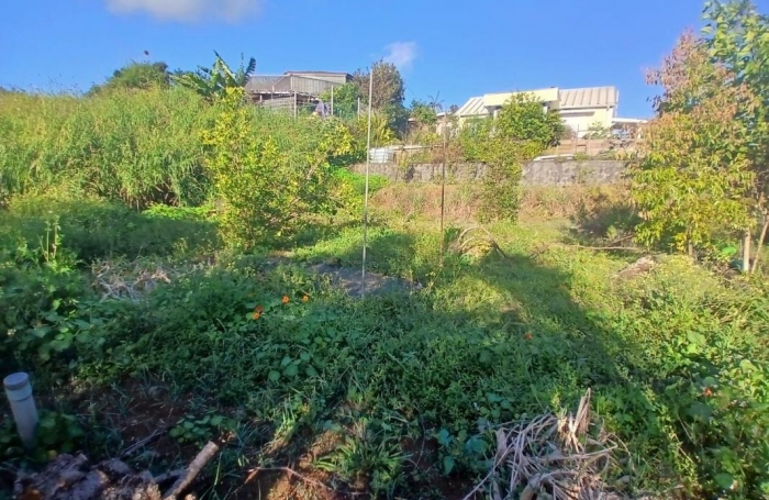 Vente Terrain 500m&sup2; Rivière Saint Louis