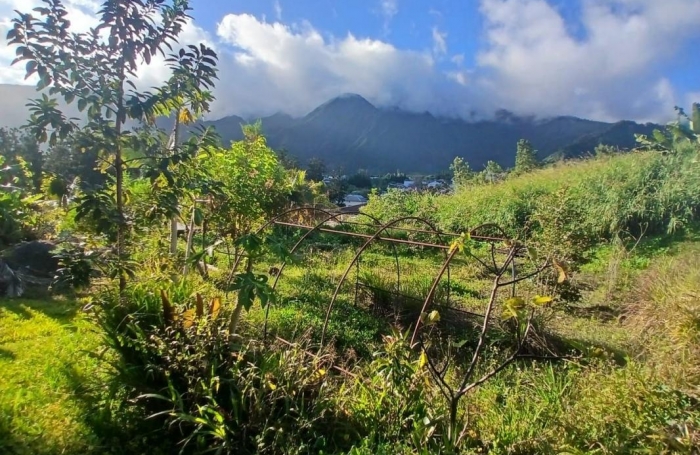 Vente Terrain 500m&sup2; Rivière Saint Louis