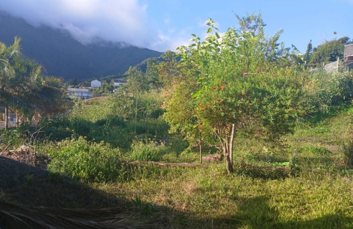 Vente Terrain 500m&sup2; Rivière Saint Louis